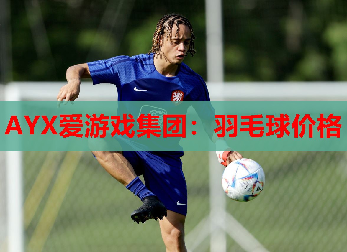 羽毛球价格 羽毛球价格