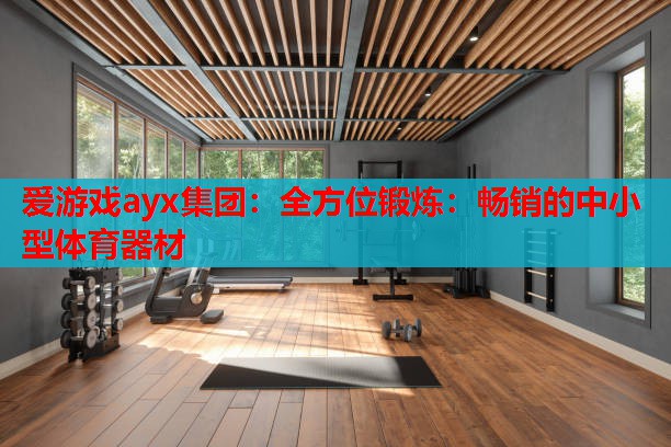 全方位锻炼:畅销的中小型体育器材 全方位锻炼:畅销的中小型体育器材