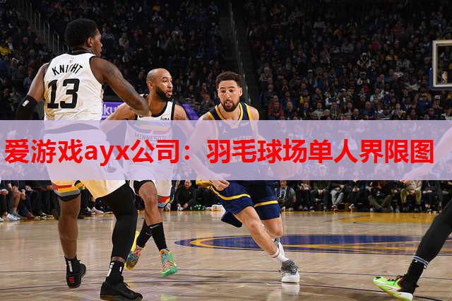 羽毛球场单人界限图 羽毛球场单人界限图