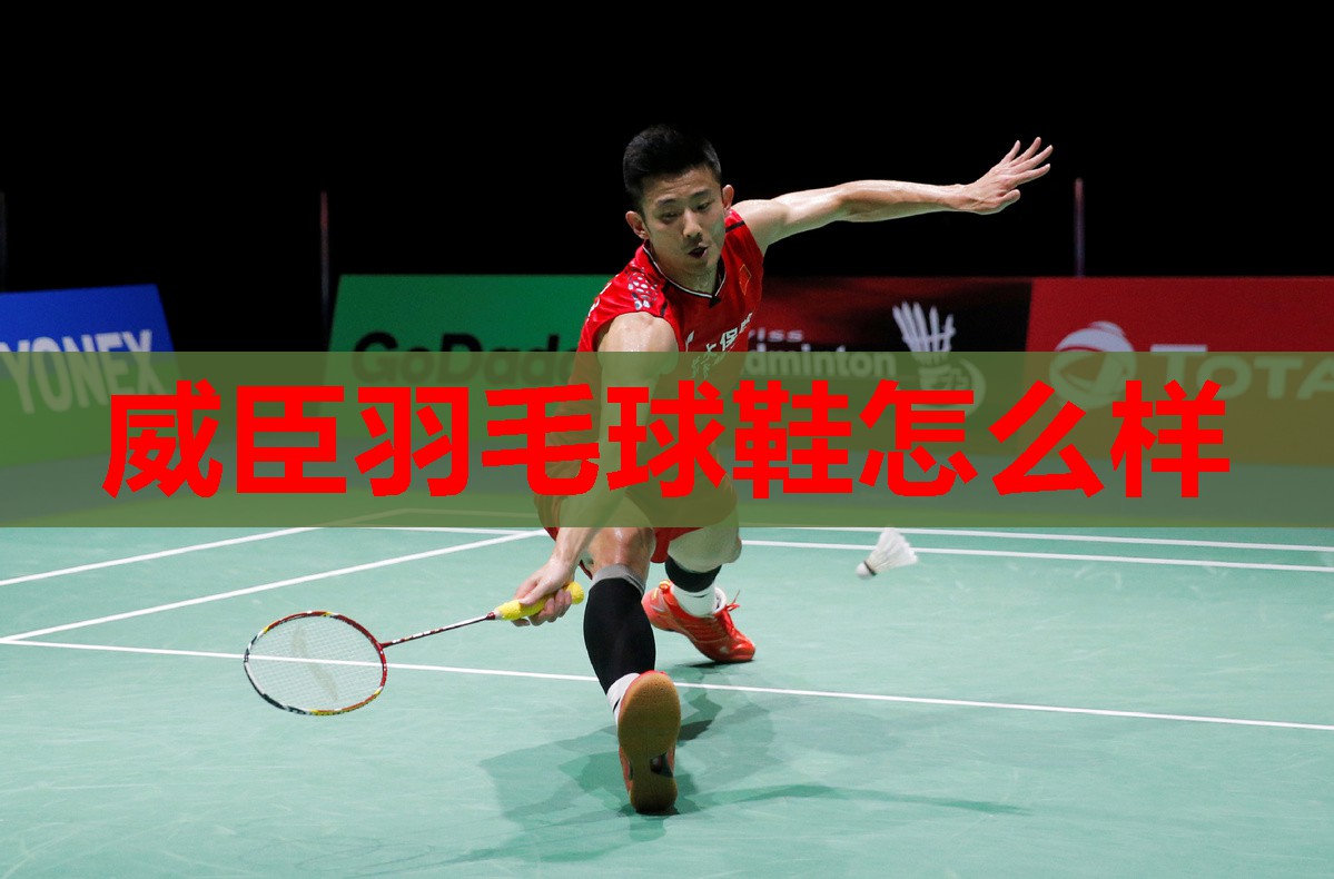 威臣羽毛球鞋怎么样 威臣羽毛球鞋怎么样