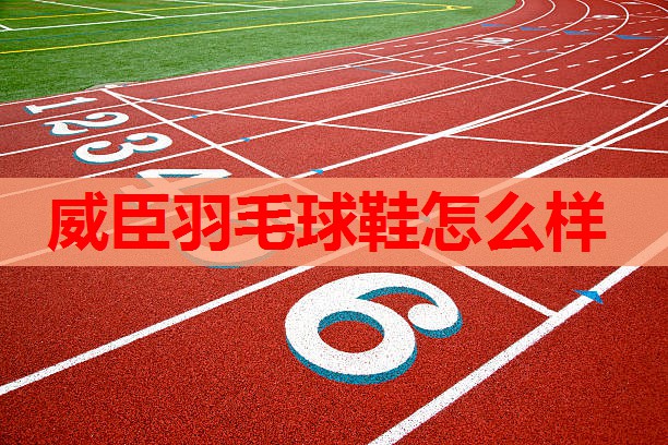 威臣羽毛球鞋怎么样 威臣羽毛球鞋怎么样