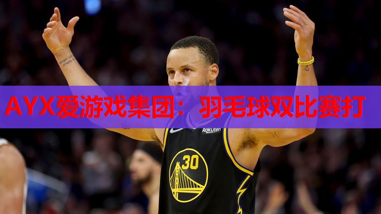 羽毛球双比赛打 羽毛球双比赛打
