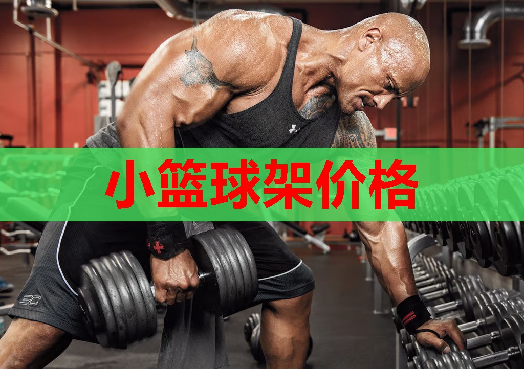 小篮球架价格 小篮球架价格