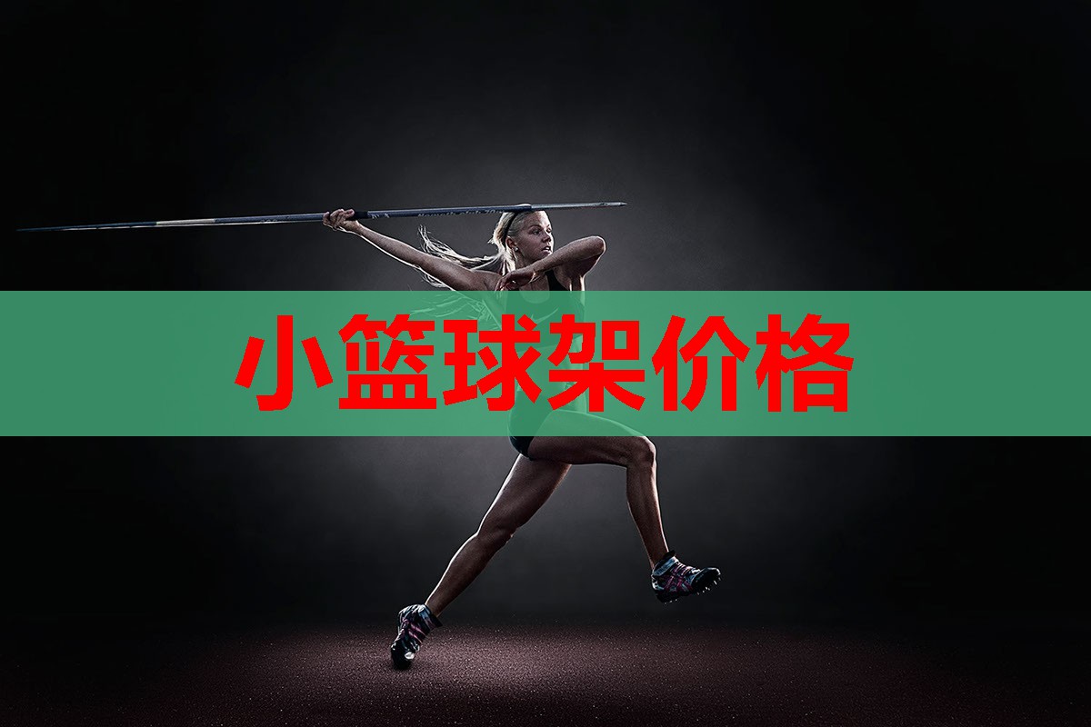 小篮球架价格 小篮球架价格