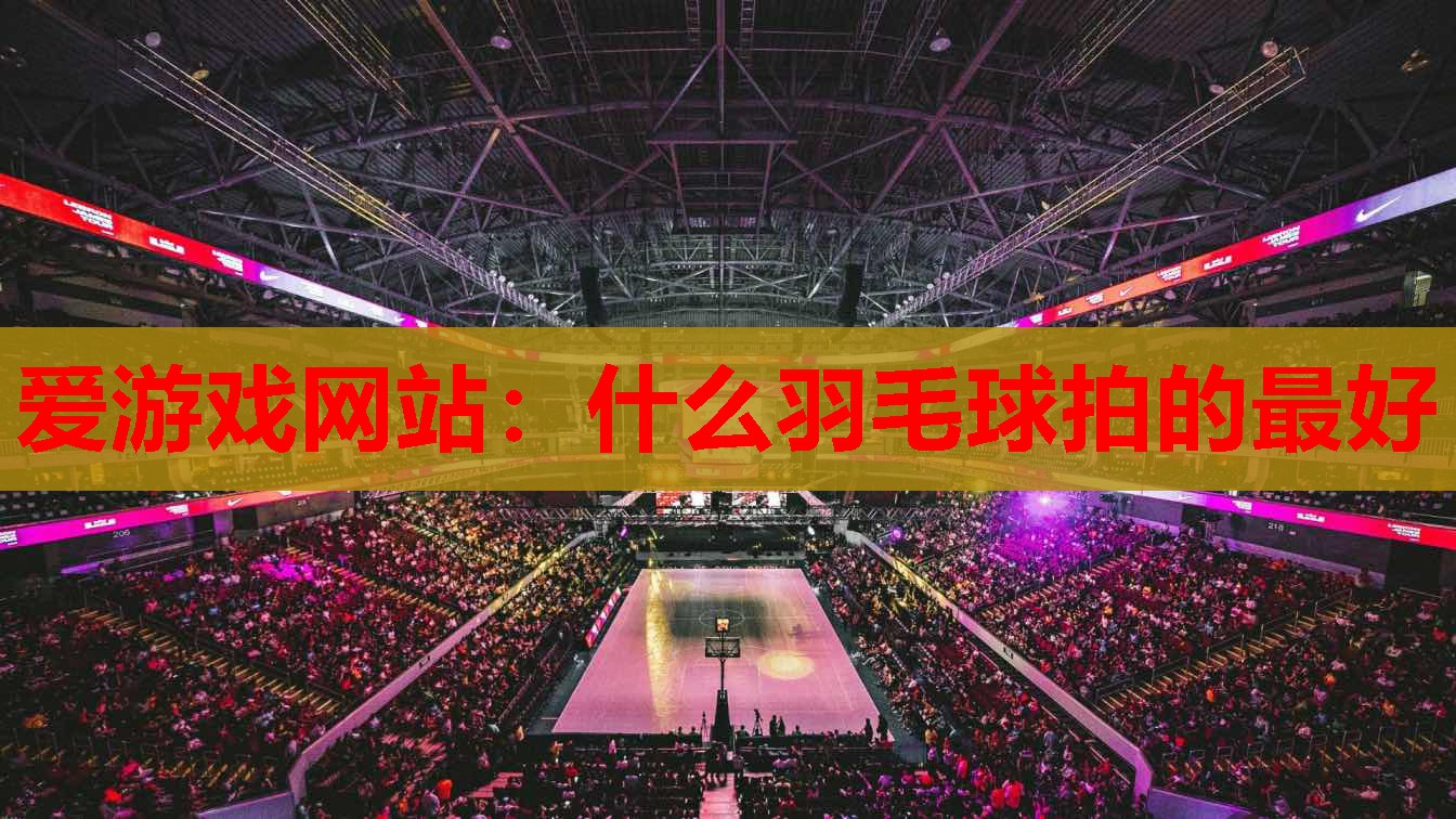 什么羽毛球拍的最好 什么羽毛球拍的最好