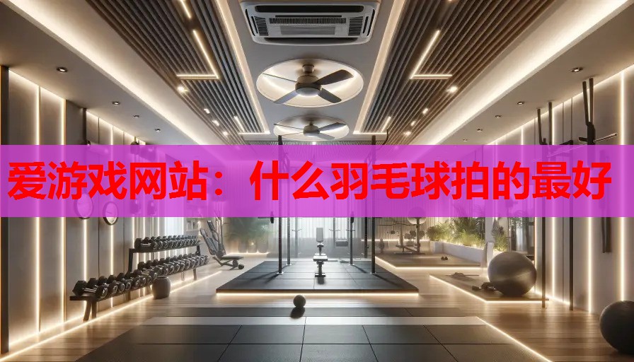 什么羽毛球拍的最好 什么羽毛球拍的最好