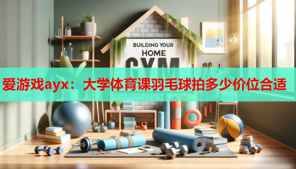 大学体育课羽毛球拍多少价位合适 大学体育课羽毛球拍多少价位合适