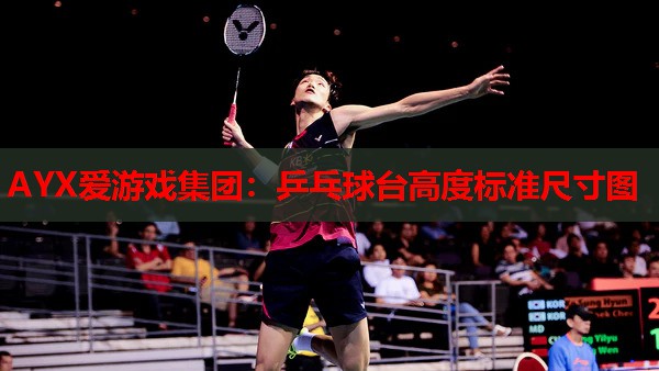 乒乓球台高度标准尺寸图 乒乓球台高度标准尺寸图