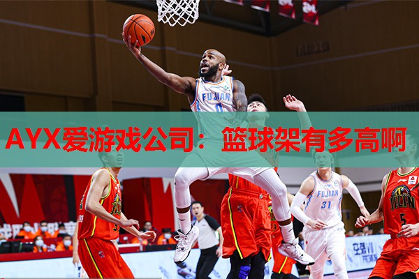篮球架有多高啊 篮球架有多高啊