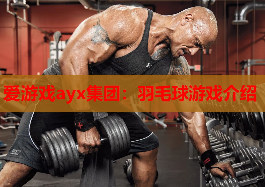 羽毛球游戏介绍 羽毛球游戏介绍