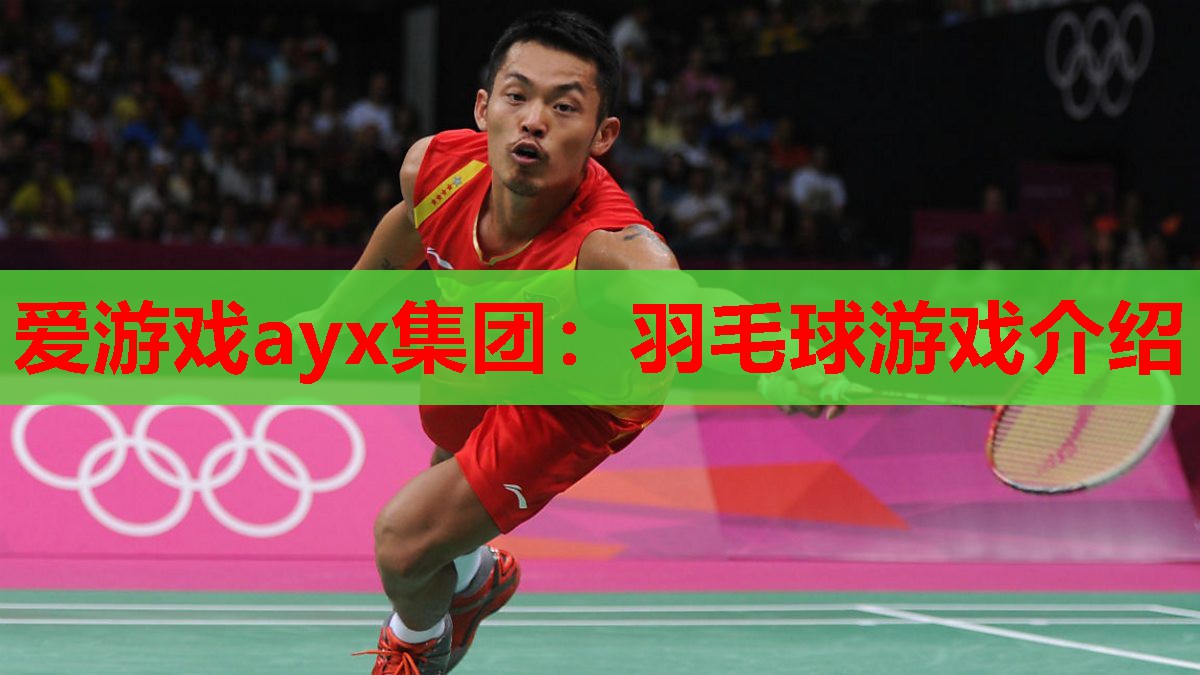 羽毛球游戏介绍 羽毛球游戏介绍