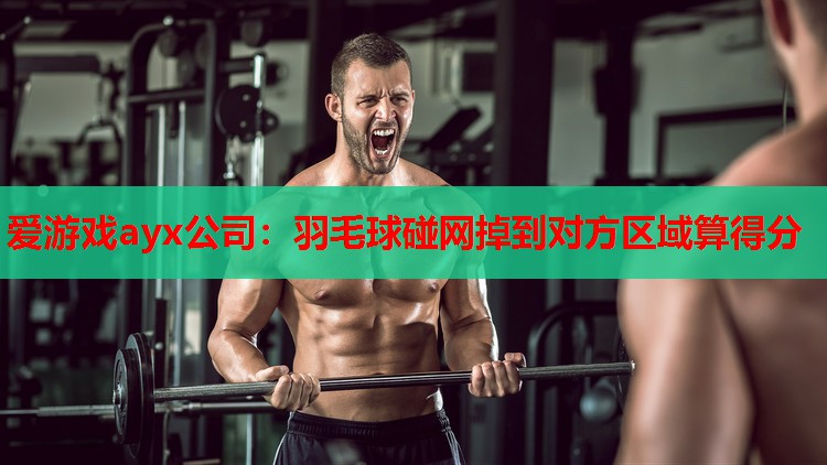 羽毛球碰网掉到对方区域算得分 羽毛球碰网掉到对方区域算得分
