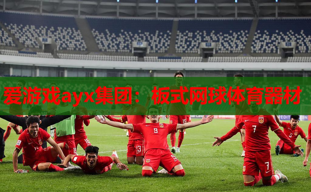 板式网球体育器材 板式网球体育器材
