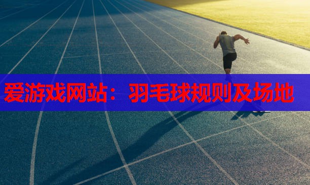 羽毛球规则及场地 羽毛球规则及场地