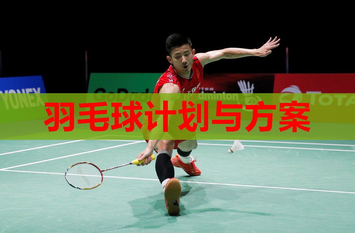 羽毛球计划与方案
