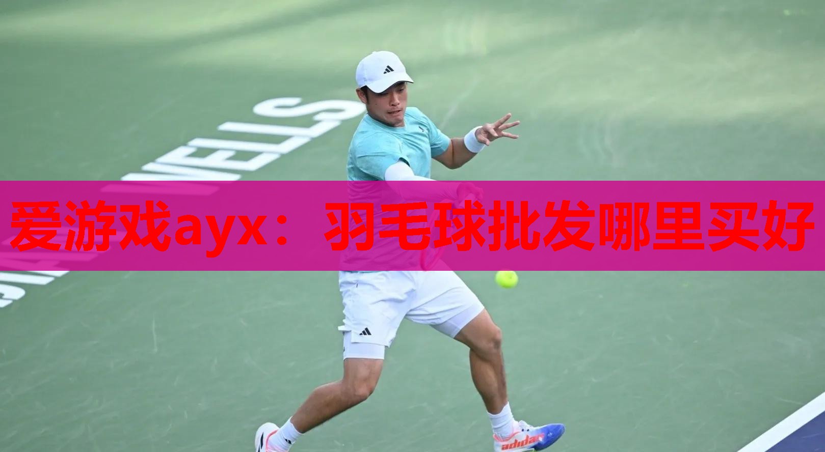 羽毛球批发哪里买好 羽毛球批发哪里买好