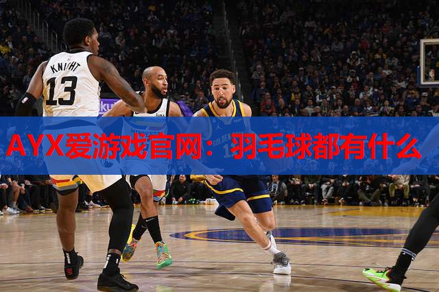 羽毛球都有什么 羽毛球都有什么