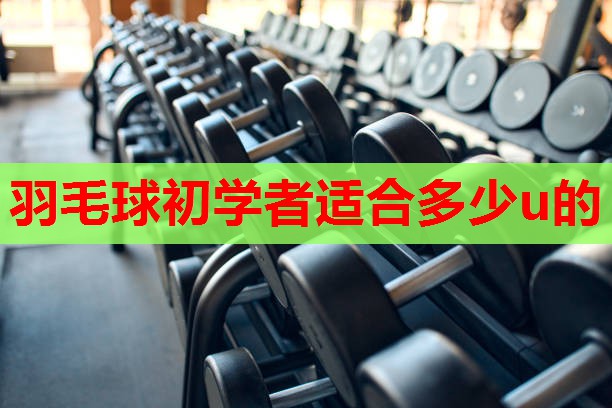 羽毛球初学者适合多少u的 羽毛球初学者适合多少u的