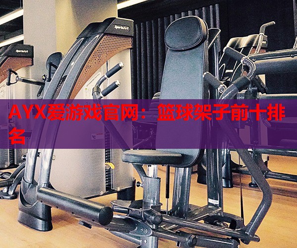 篮球架子前十排名